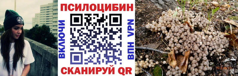 даркнет Telegram Эртиль Галлюциногенные грибы мухоморы